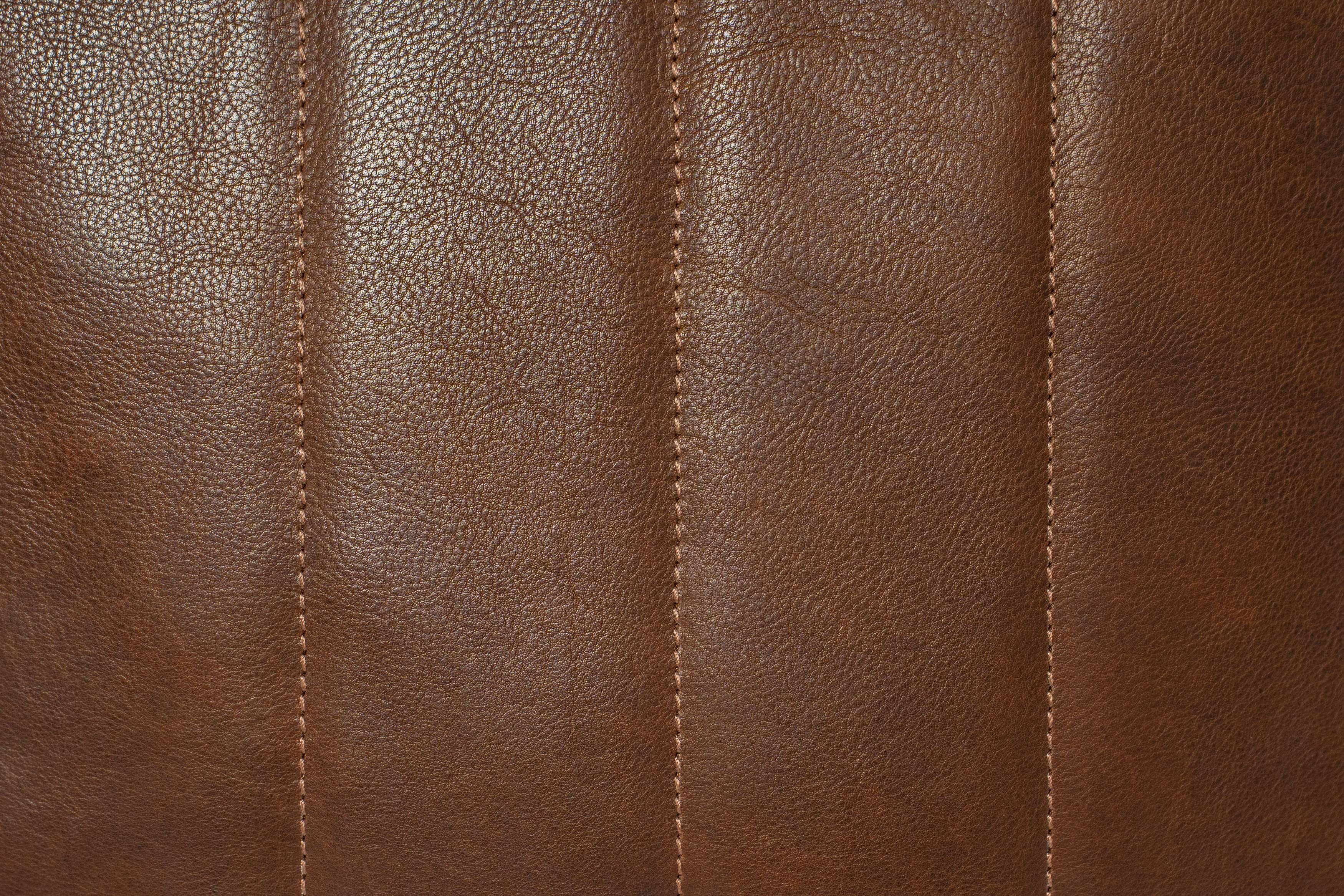 Santa Fe Leather Cushion