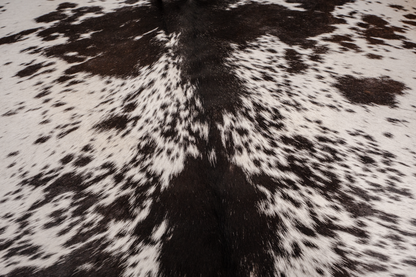 Chocolate & White Hide Rug