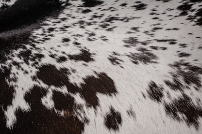 Chocolate & White Hide Rug