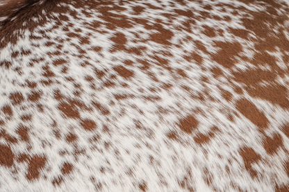 Tan & White Hide Rug